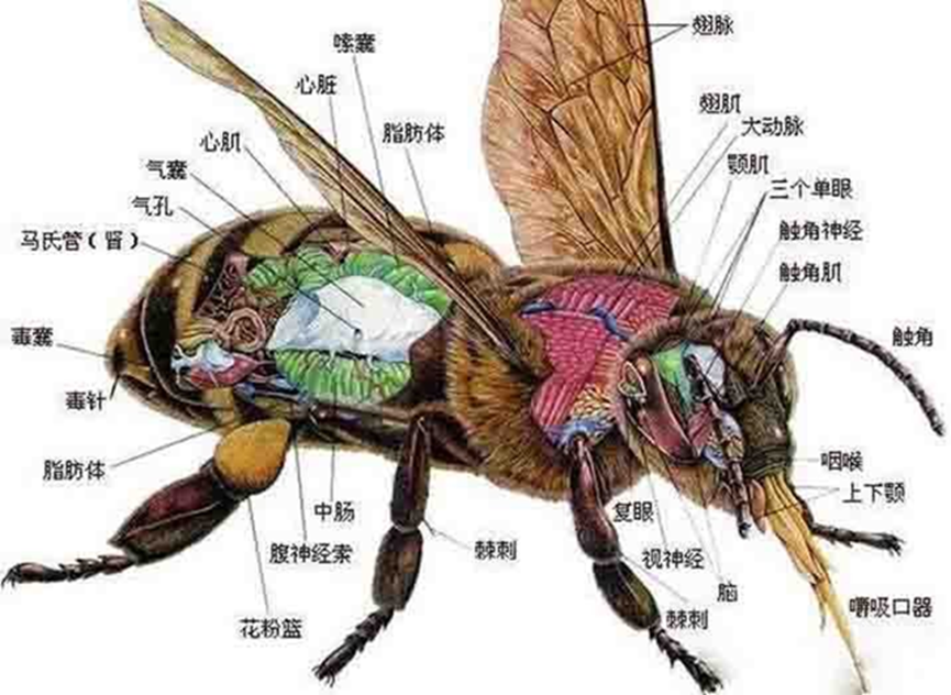 1737875928400993.png image.png